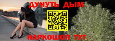 прущие грибы Владивосток