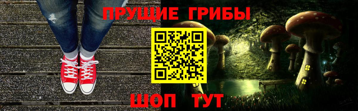 Псилоцибиновые грибы Cubensis Братск