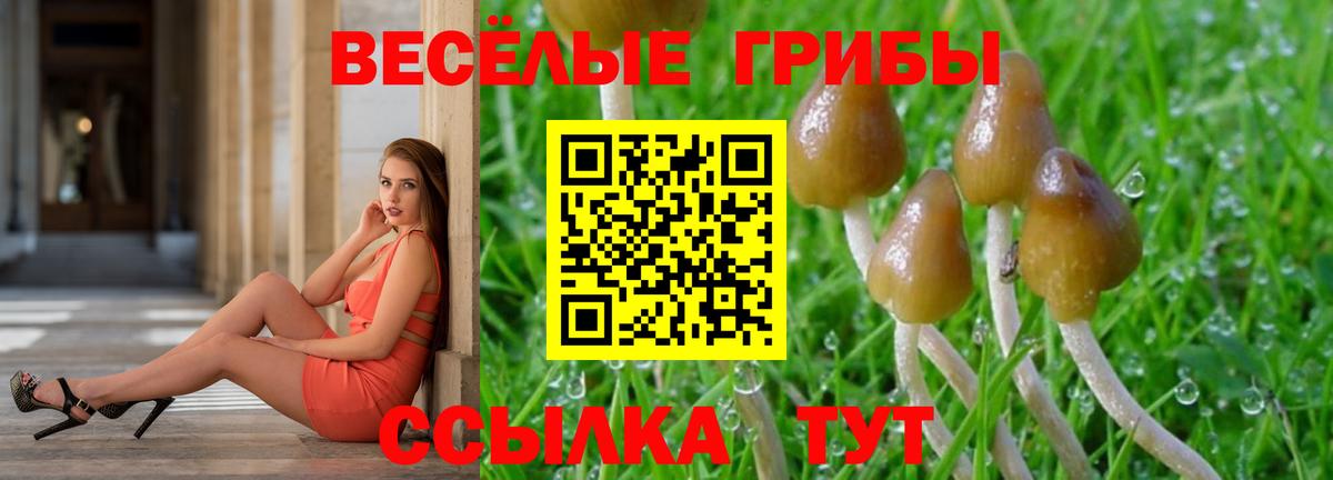 Галлюциногенные грибы прущие грибы  Вход с VPN  наркота  Псилоцибиновые грибы мицелий  Братск 